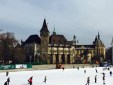 La patinoire du Bois-de-Ville