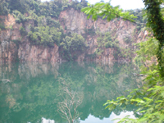 Bukit Timah Nature Reserve