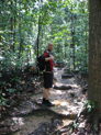 Bukit Timah Nature Reserve