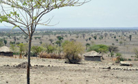  Village Masaï à Tarangire