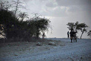 Tombe de la nuit sur les routes de Tanzanie