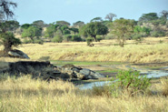 Parc national de Tarangire