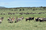 Serengeti National Park