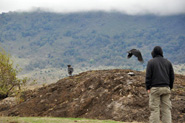 Cratère Ngorongoro