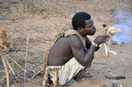 Griff par les nombreux arbres  pines, ce bushman termine l'allumage du feu