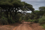 Parc national du lac Manyara