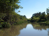 Sortie hydroglisseur aux Everglades