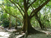 Parque Nacional de Tayrona