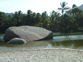 Et entre la jungle et la plage, coule une rivière...