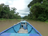 Paysage amazonien.