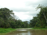 Paysage amazonien.