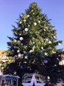 Le grand sapin de Strasbourg