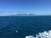 Dans le lagon de Tahiti, vue sur Moorea
