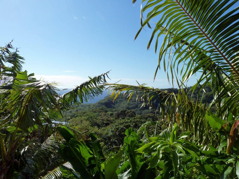 Roatan