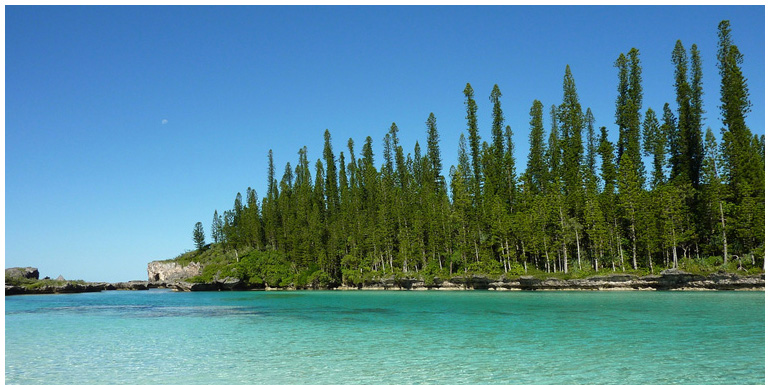 Nouvelle-Calédonie / New Caledonia Nouvelle-Calédonie / New Caledonia