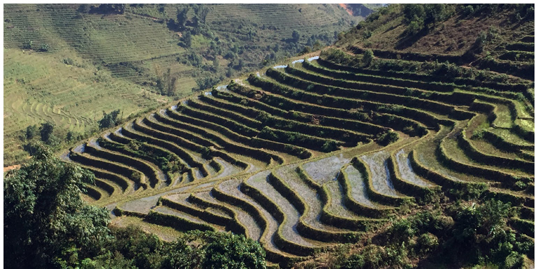 Viet Nam / Vietnam Viet Nam / Vietnam