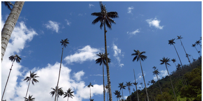 Colombie / Colombia Colombie / Colombia