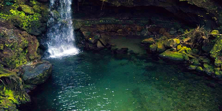 Dominique / Dominica Dominique / Dominica