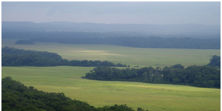 Gabon / Gabon Gabon / Gabon